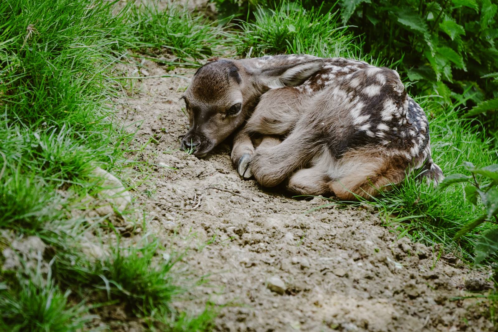 Ab in die Natur Symbolfoto