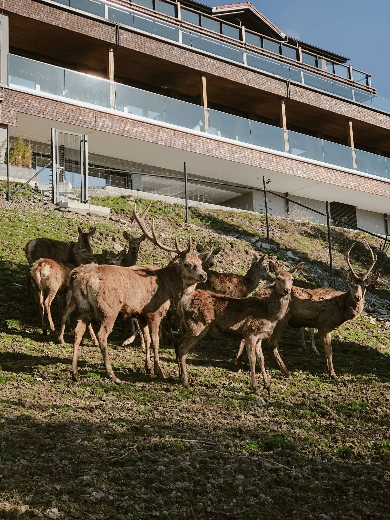 Jeder Verlust bedeutet ein Neuanfang Symbolfoto