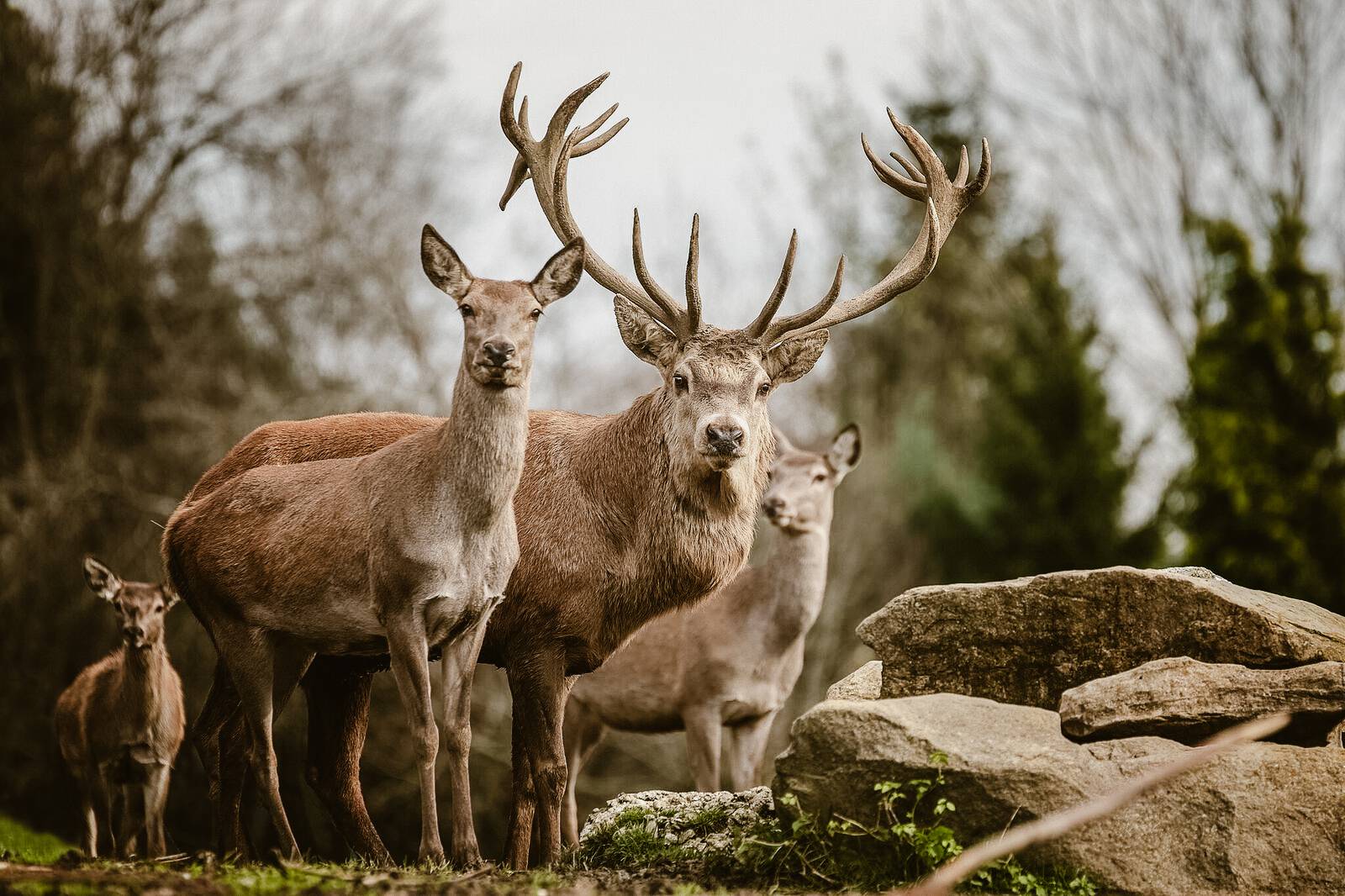 Jeder Verlust bedeutet ein Neuanfang Symbolfoto
