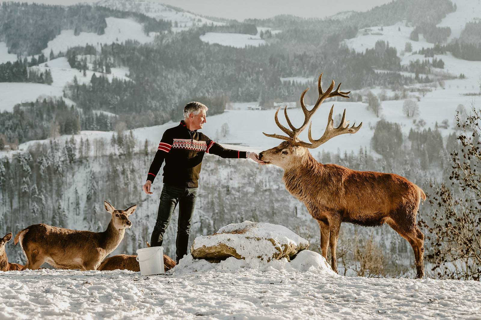 Jeder Verlust bedeutet ein Neuanfang Symbolfoto