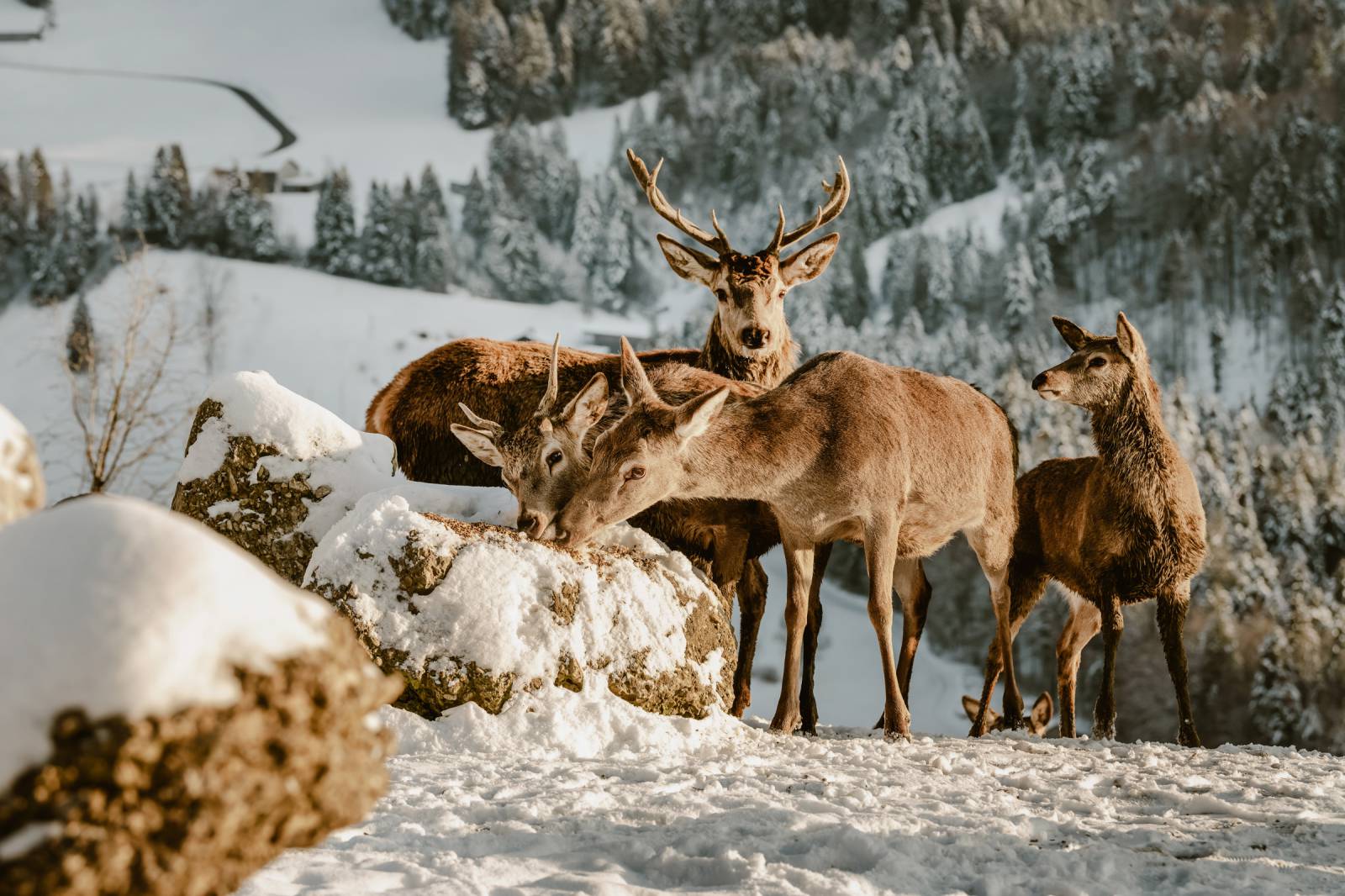 Jeder Verlust bedeutet ein Neuanfang Symbolfoto