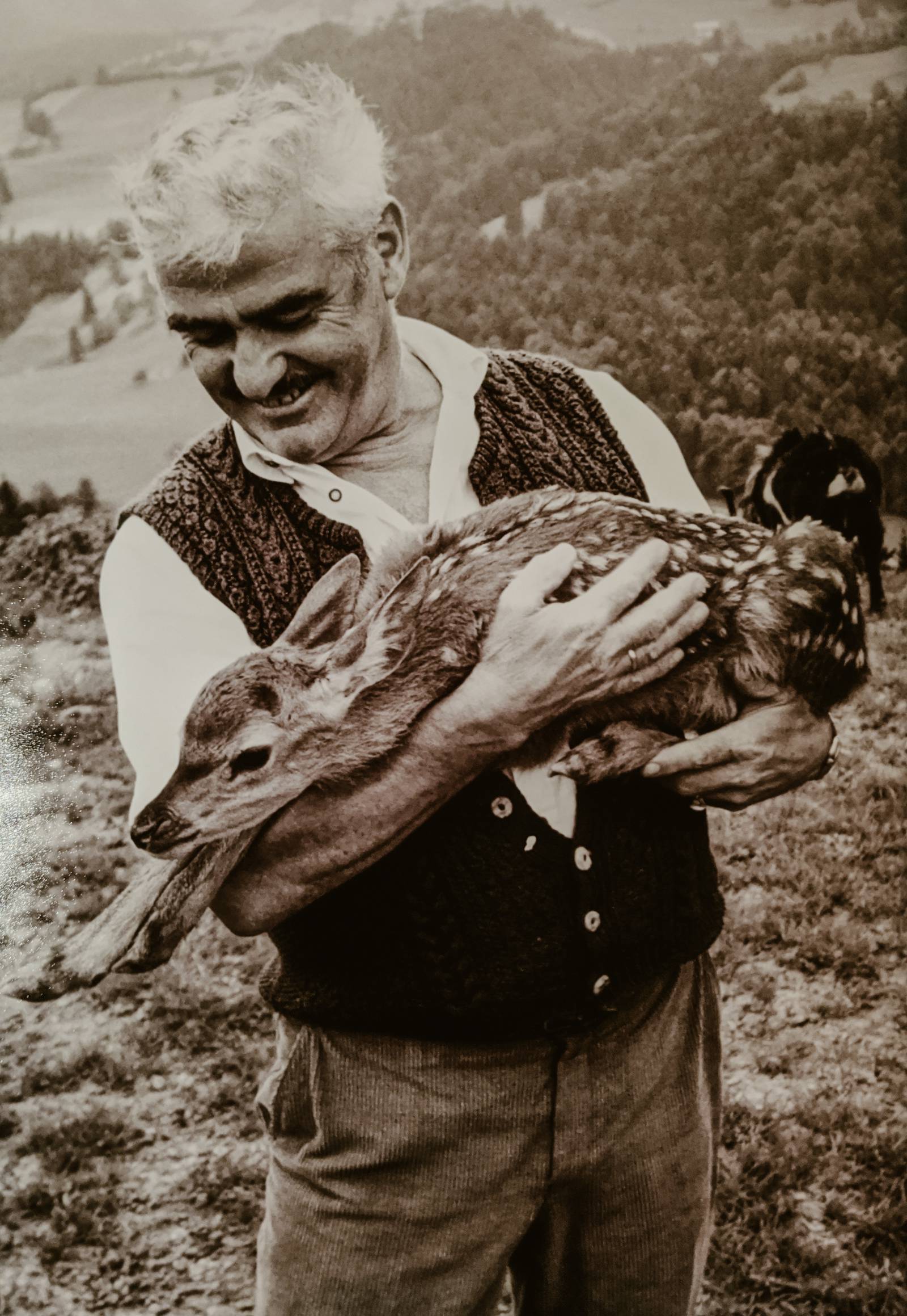 Der Jodlerwirt vom Bergstüble Symbolfoto