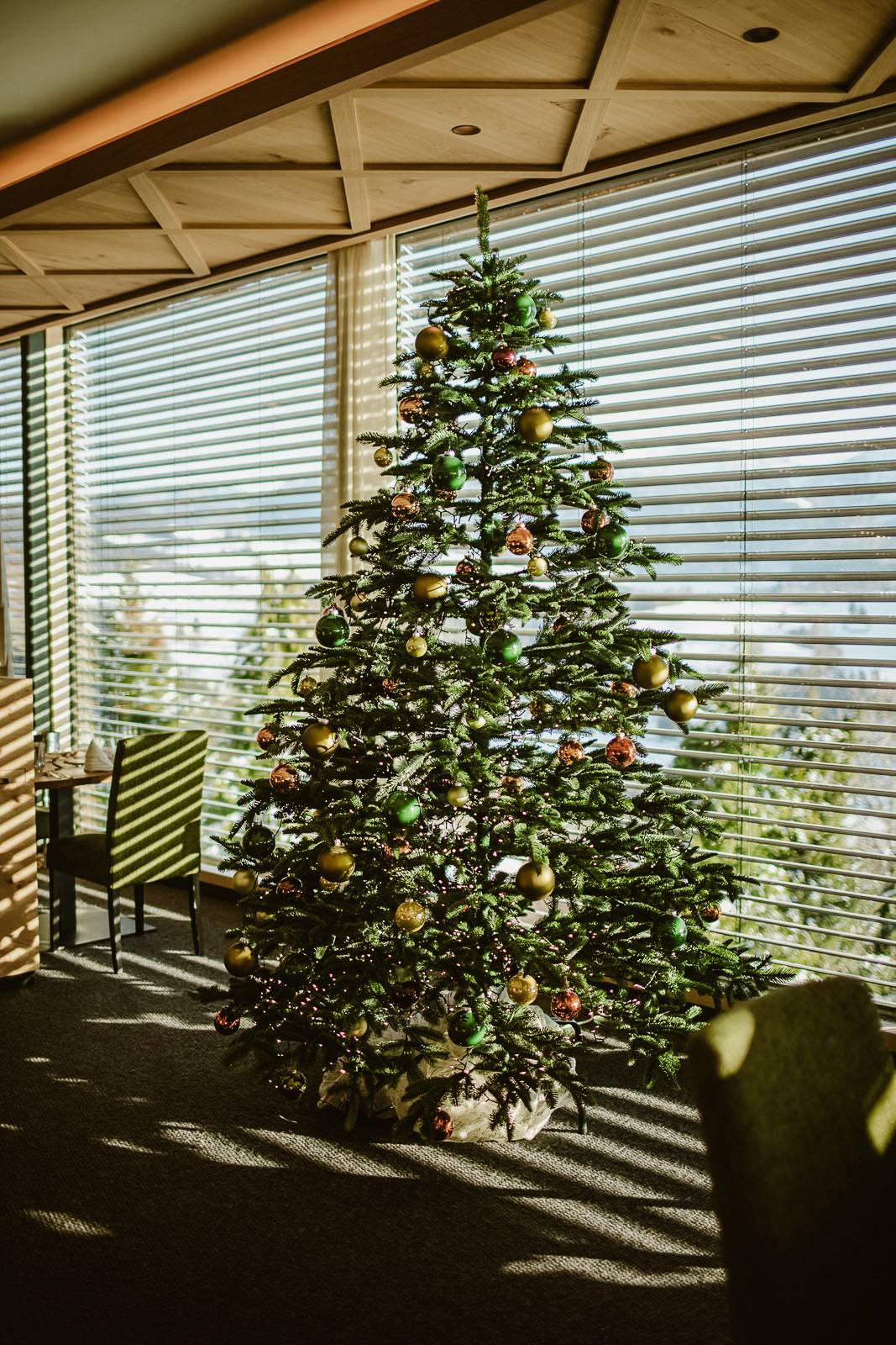 Herbstleuchten & Winterzauber Symbolfoto