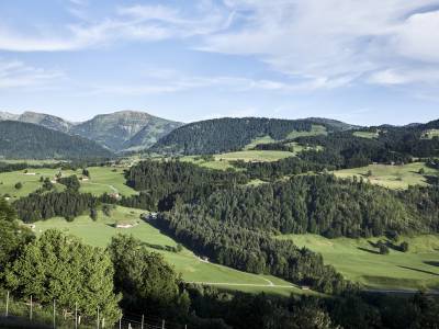 Spazierweg um das Wildgehege | Erlebnisse