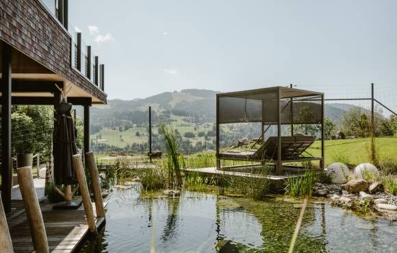 Naturteich mit Panoramaliegen im Sommer