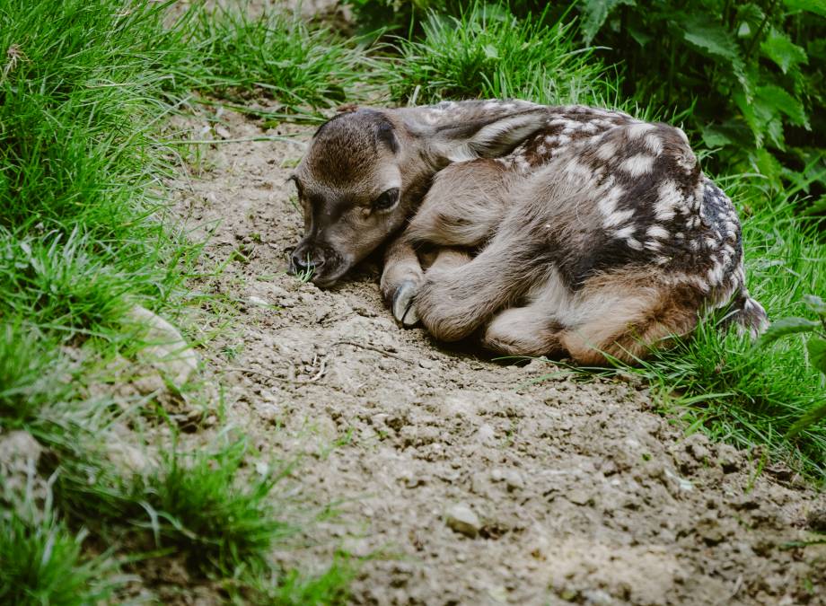 Ab in die Natur Symbolfoto