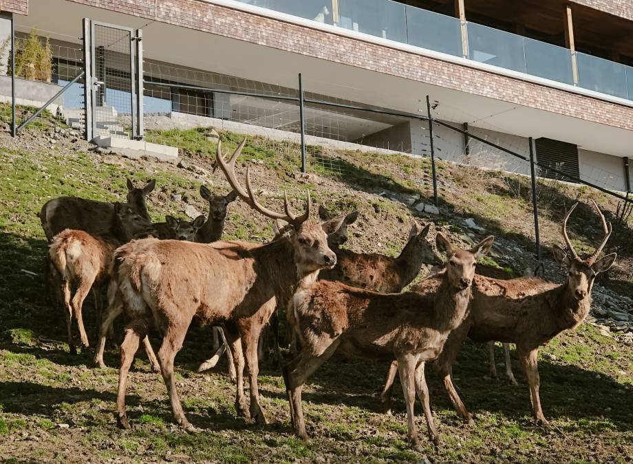 Jeder Verlust bedeutet ein Neuanfang Symbolfoto