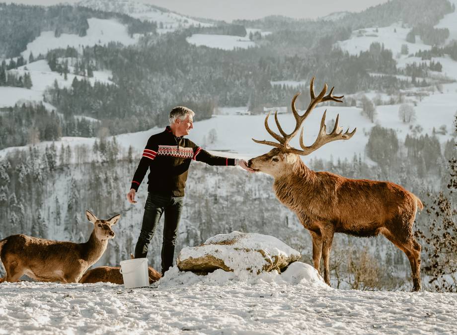 Jeder Verlust bedeutet ein Neuanfang Symbolfoto