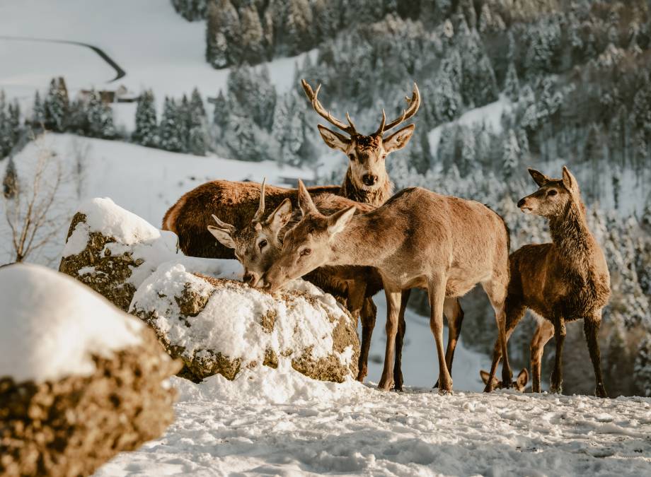 Jeder Verlust bedeutet ein Neuanfang Symbolfoto