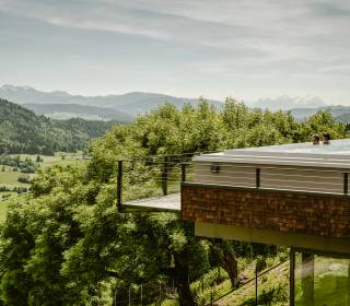 Blick vom Infinitypool des Wellnesshotels Bergkristall Richtung Alpen