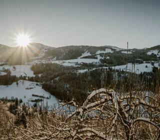 Naturerlebnisse - Resort Bergkristall