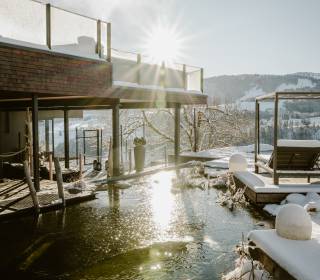 Kältekick im Naturteich - Resort Bergkristall