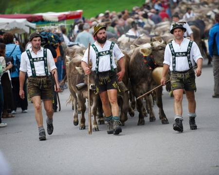Viehscheid in Oberstaufen und Thalkirchdorf: Wenn das ganze Allgäu feiert. Symbolfoto