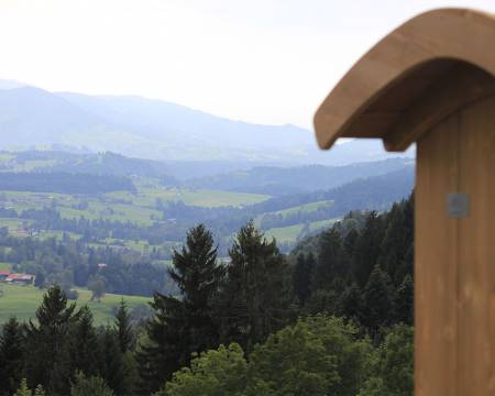 Sehnsucht nach Geborgenheit –  Die Bergkristall-Antwort: Alpenstrandkörbe Symbolfoto