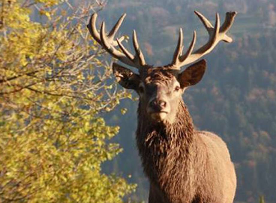 JEDER VERLUST BEDEUTET EIN NEUANFANG Symbolfoto