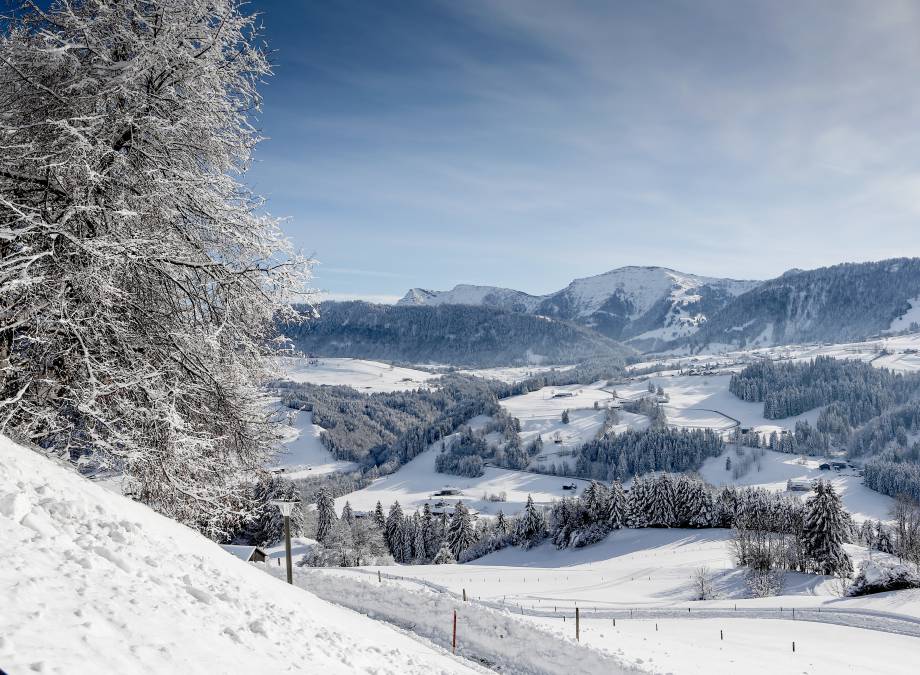 Ski Total im Bergkristall Symbolfoto