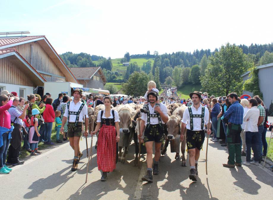 Viehscheid in Oberstaufen und Thalkirchdorf: Wenn das ganze Allgäu feiert. Symbolfoto