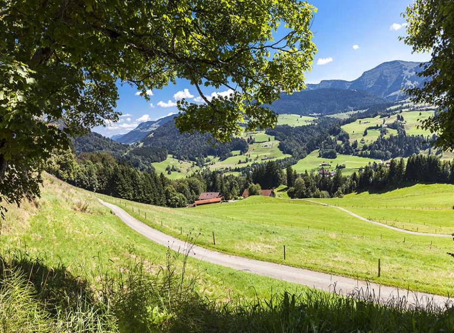 Der große Vorteil der neuen Bergkristall E-Bikes: Sie bestimmen selbst, wann Sie schwitzen! Symbolfoto