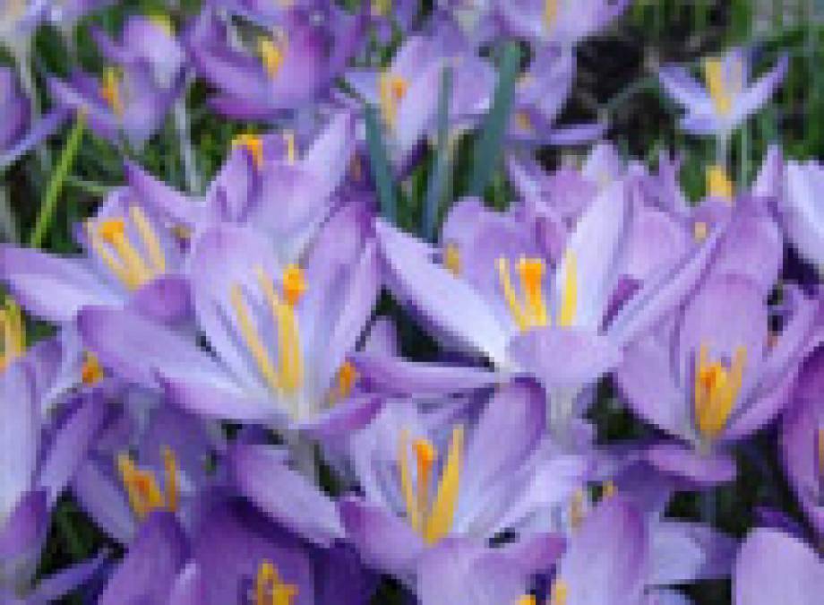 Ostern im Bergkristall mit Ostereier suchen und Hirsche füttern Symbolfoto