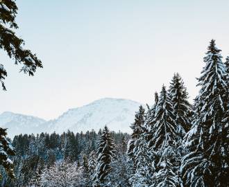 Hochgrat und Allgäuer Nagelfluhkette mit Wald im Winter