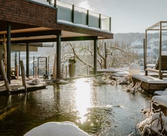 Naturteich mit Tauchbecken im Winter