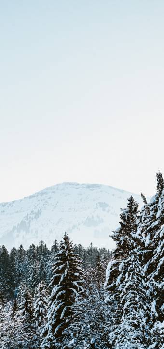 Hochgrat und Allgäuer Nagelfluhkette mit Wald im Winter