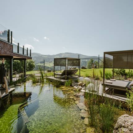Naturteich mit Tauchbecken