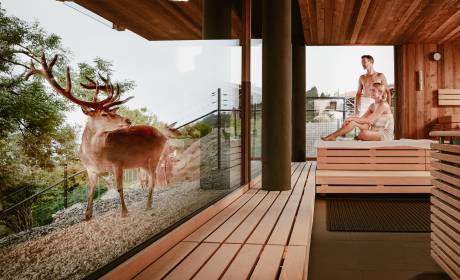 Paar in Sauna inmitten des Wildparks