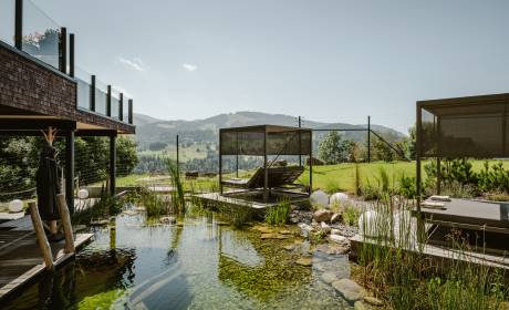 Naturteich mit Tauchbecken im Sommer