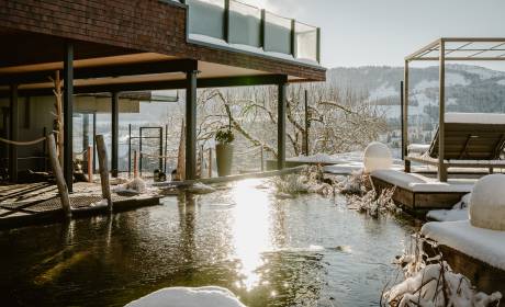 Naturteich mit Tauchbecken im Winter