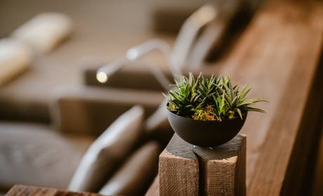 Dekobojekt in Saunalandschaft