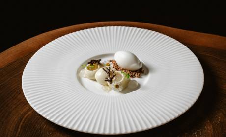 Panna Cotta mit Holder, Rahm und Kamille