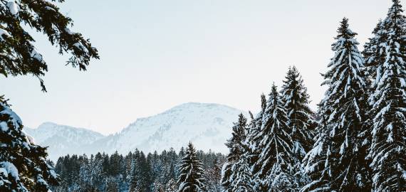 Hochgrat und Allgäuer Nagelfluhkette mit Wald im Winter