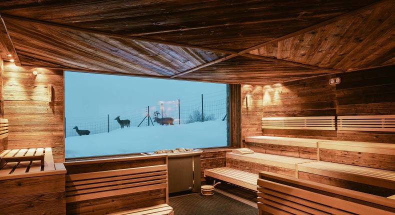 Sauna mit Blick auf das Hirschgehege