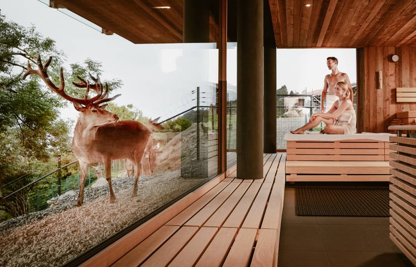 Paar in Sauna inmitten des Wildparks