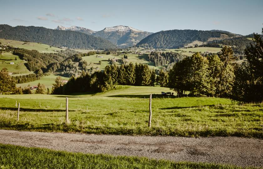 Naturpark Nagelfluhkette mit Blick auf den Hochgrat