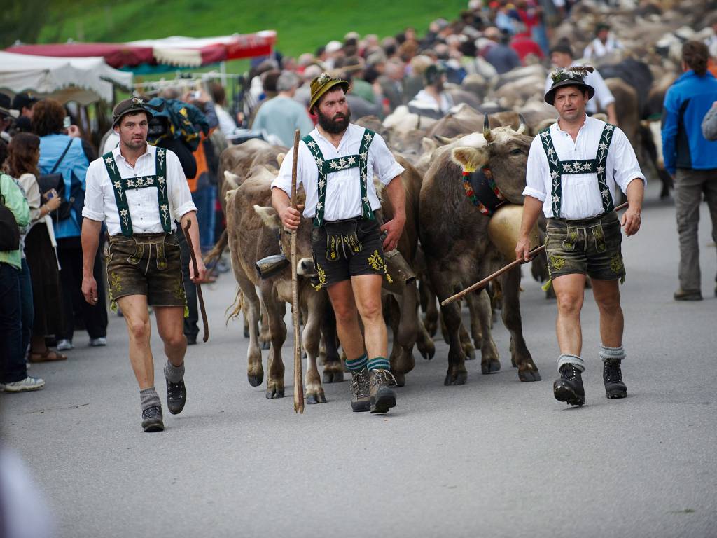 Viehscheid in Oberstaufen und Thalkirchdorf Wenn das ganze Allgäu
