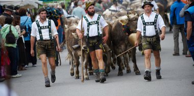 Viehscheid in Oberstaufen und Thalkirchdorf: Wenn das ganze Allgäu feiert., Bild 1/3